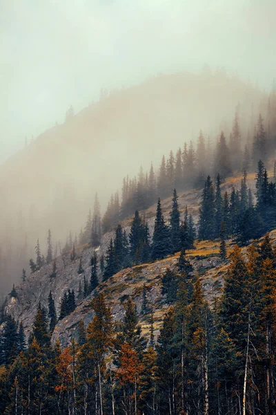Misty Berg Banff Nationaal Park — Stockfoto