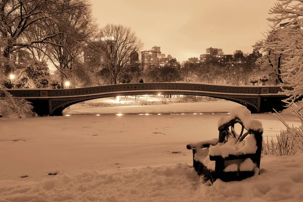 Central Park Vintern Med Frusen Sjö Och Stol Natten Midtown — Stockfoto