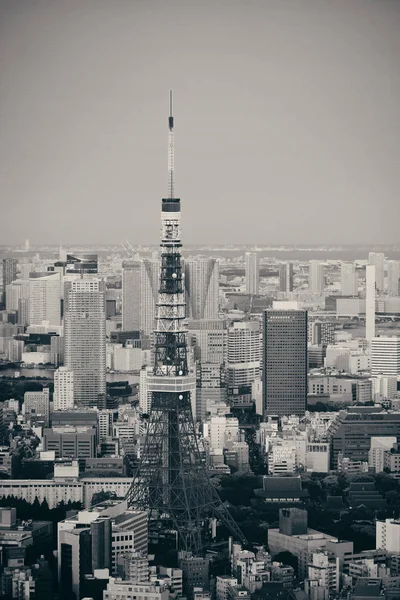 Tokyo Tower Urban Skyline Rooftop View Sunset Ιαπωνία — Φωτογραφία Αρχείου