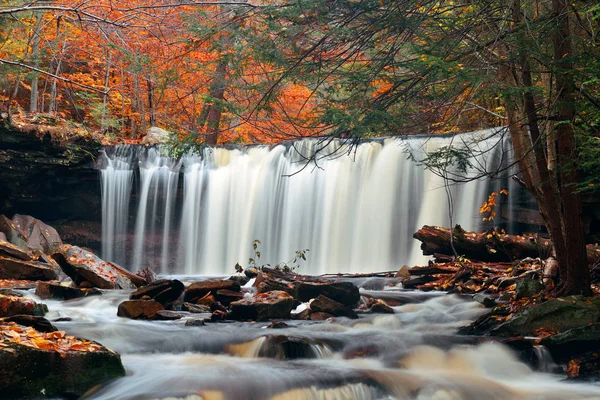 Cascades Automne Dans Parc Avec Feuillage Coloré — Photo