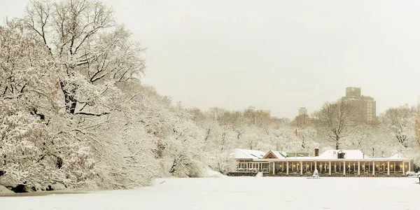 Central Park Panorama Hiver Dans Centre Manhattan New York — Photo