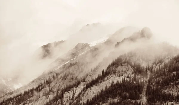 Banff National Park Foggy Mountains Forest Canada — Stock Photo, Image