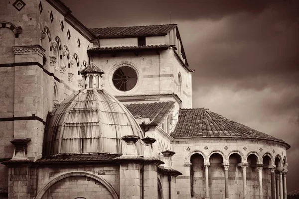 San Martino Katedrála Detailní Záběr Středověkém Městě Lucca Itálii — Stock fotografie