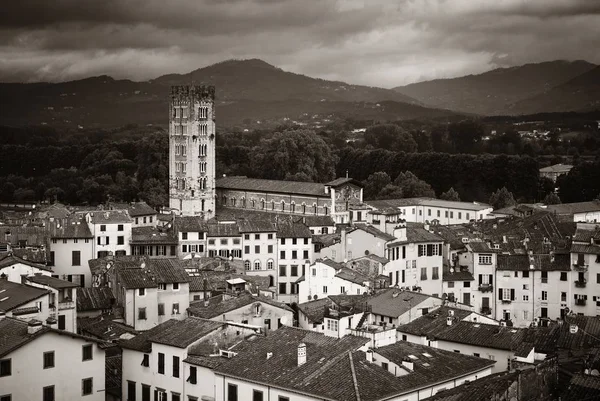 Lucca Panorama Wieżą Katedrą Włoszech — Zdjęcie stockowe