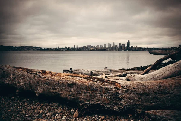 Město Seattle Panorama Pohled Nad Mořem Městskou Architekturu Kmene Stromu — Stock fotografie