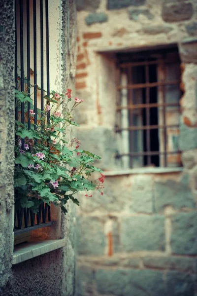 Cinque Terre Corniglia Arquitetura Estilo Italiano Com Flor Itália — Fotografia de Stock