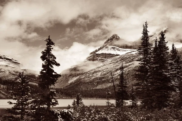 Bogensee Mit Schneebedeckten Bergen Und Wäldern Banff Nationalpark — Stockfoto