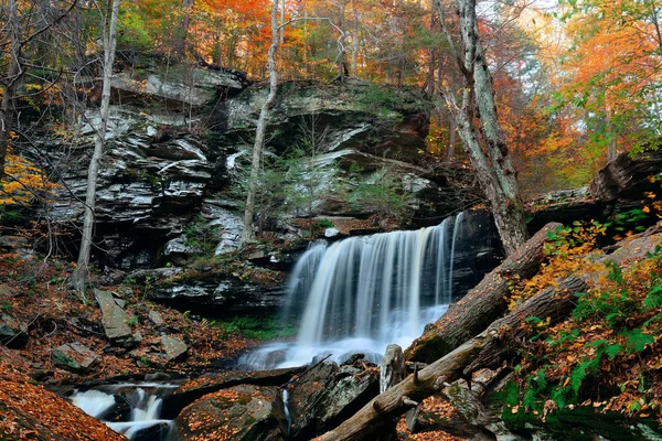 Осенние Водопады Парке Красочной Листвой — стоковое фото