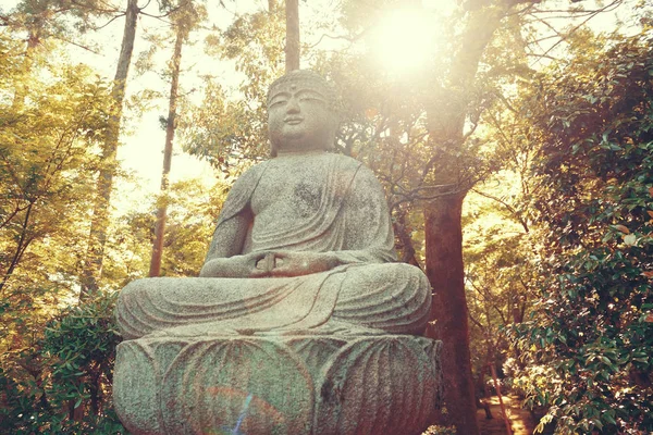 Buddha Staty Skrin Med Historisk Byggnad Kyoto Japan — Stockfoto