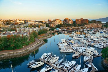 Vancouver liman manzaralı, Kanada 'da şehir binaları ve körfez teknesi var..