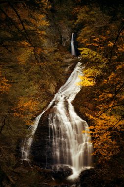 Vermont Sonbaharda ormanda Şelale
