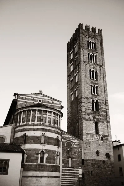 Basílica San Frediano Lucca Con Edificios Históricos Italia —  Fotos de Stock