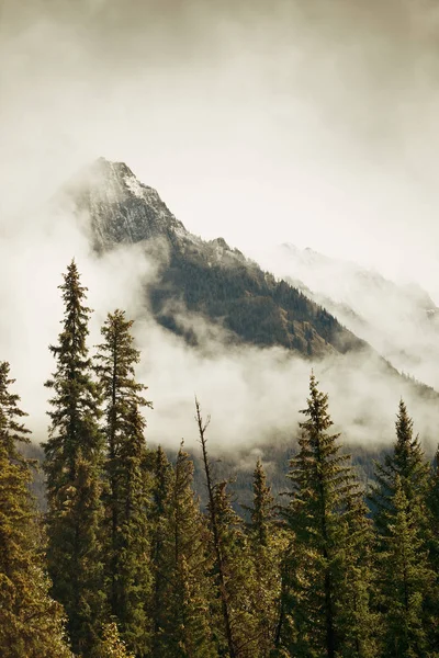 Parque Nacional Banff Montañas Brumosas Bosques Canadá — Foto de Stock