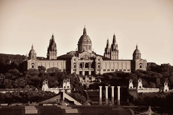 Kataloniens Nationella Konstmuseum Placa Espanya Barcelona Spanien — Stockfoto