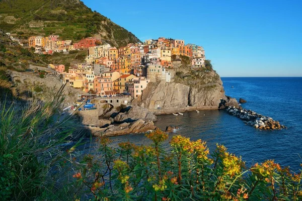 Manarola Com Vista Para Mar Mediterrâneo Com Edifícios Sobre Penhasco — Fotografia de Stock