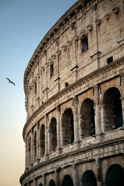 Colosseum Symbolische Architectuur Van Rome Italië — Stockfoto