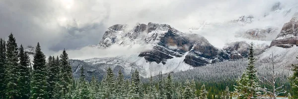 白雪覆盖的高山和班夫国家公园的森林 俯瞰全景湖 — 图库照片