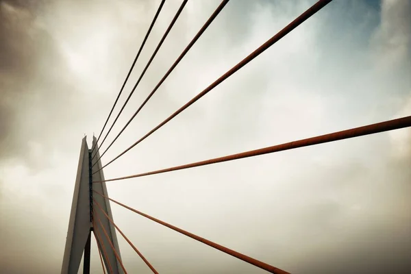 Brücke Und Städtische Architektur Chongqing China — Stockfoto