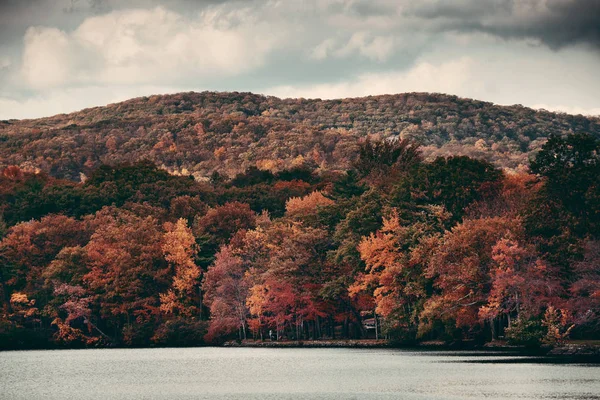 Herbst Buntes Laub Und Natürliche Landschaft — Stockfoto