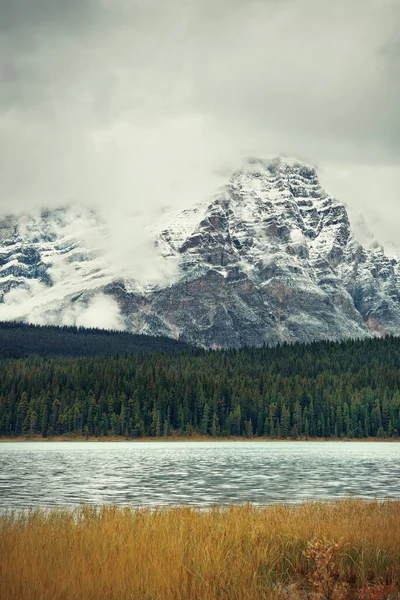 Βουνά Και Δάσος Στο Bow Lake Ομίχλη Στο Banff National — Φωτογραφία Αρχείου