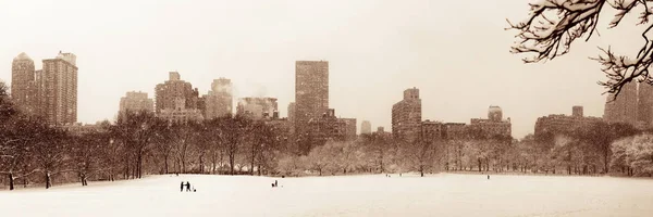 位于纽约市曼哈顿市中心的中央公园冬季雪地里 摩天大楼林立 — 图库照片