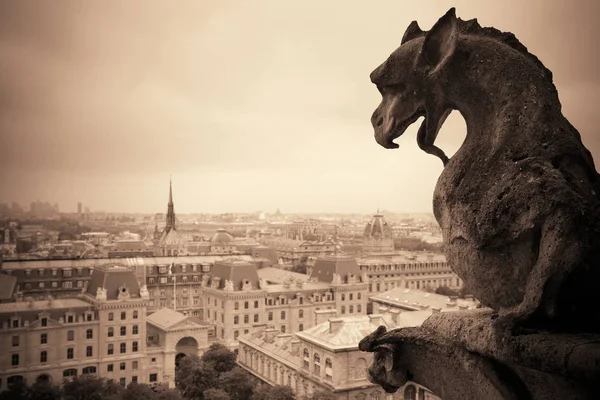 Vista Azotea París Desde Catedral Notre Dame —  Fotos de Stock