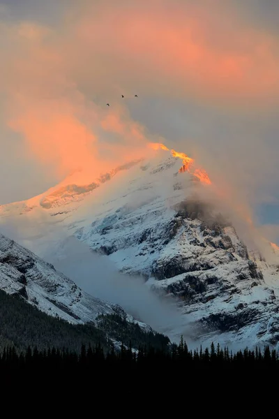 Sneeuw Berg Zonsondergang Met Cloud Nationaal Park — Stockfoto