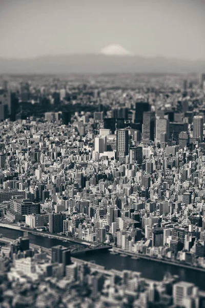 Tokyo Skyline Urbano Vista Panoramica Con Monte Fuji Giappone — Foto Stock