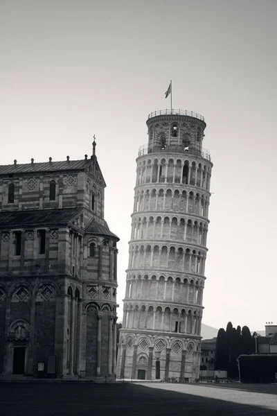 Lutande tornet i Pisa sunrise — Stockfoto