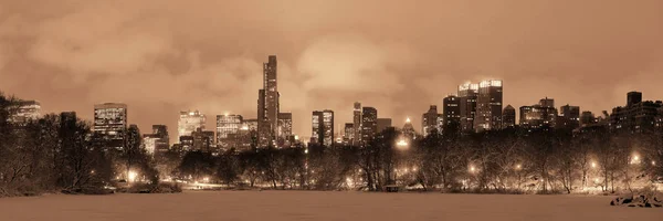 Central Park winter — Stockfoto