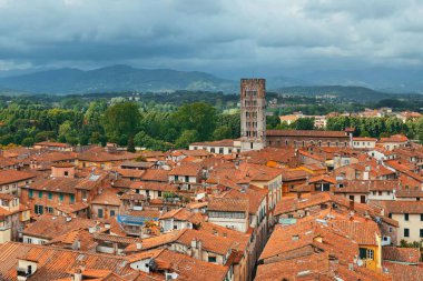 Lucca skyline tower