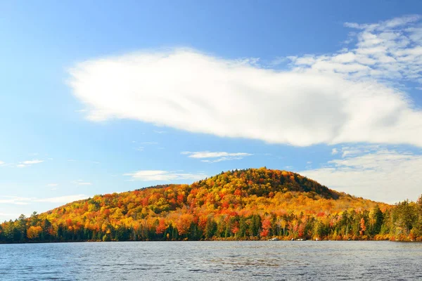 Follaje de otoño del lago — Foto de Stock