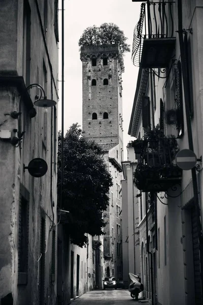 Lucca Torre Alberata — Foto de Stock