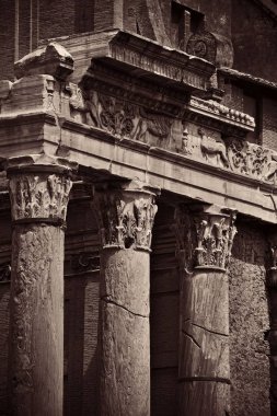 Roma forumu 