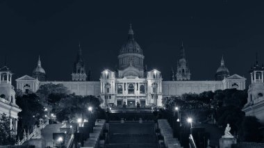 Ulusal Katalonya Sanat Müzesi