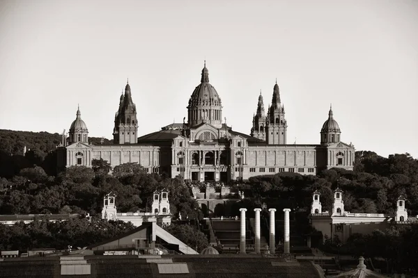 カタルーニャ国立美術館 — ストック写真