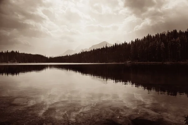 Lago Herbert — Fotografia de Stock