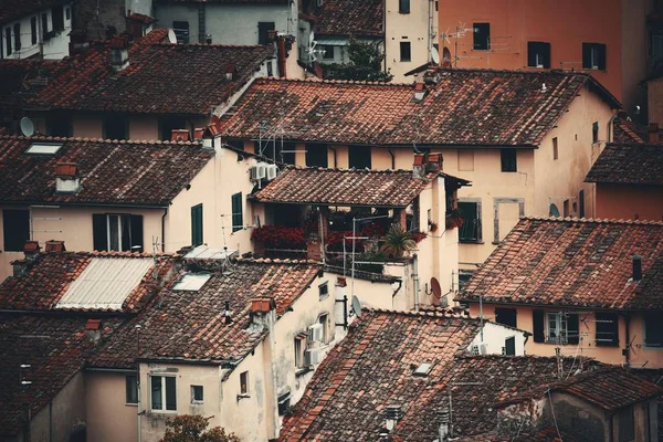 Lucca Dach über dem Blick — Stockfoto