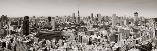 Tokyo Tower and urban skyline rooftop view, Japan.