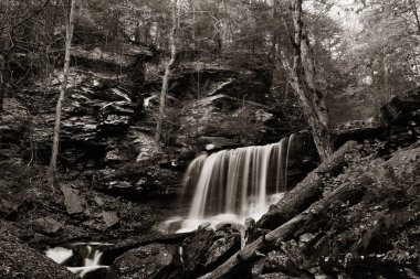 Siyah beyaz şelaleler