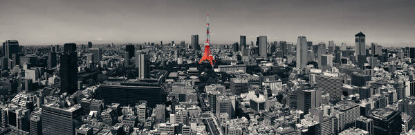 Tokyo Tower and urban skyline rooftop view, Japan.