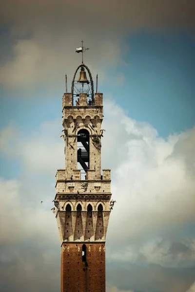 Siena miasto hali Bell Tower — Zdjęcie stockowe