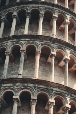 Leaning tower Pisa portre