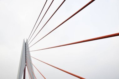 Chongqing Köprüsü