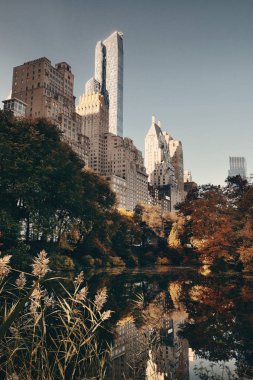 Central Park'a sonbahar