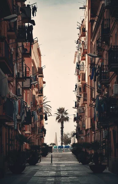 Barcelona Vista a la calle con árbol — Foto de Stock