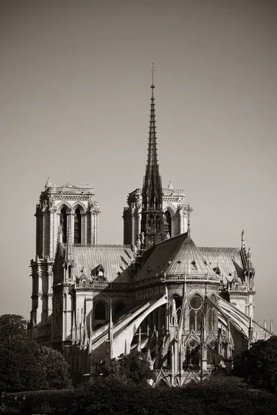 Paris Notre Dame-katedralen — Stockfoto