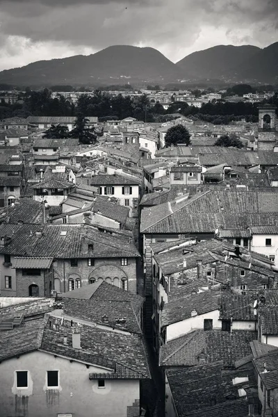 Lucca na dachu z widokiem na góry — Zdjęcie stockowe