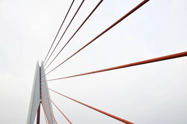 Chongqing-Brücke — Stockfoto