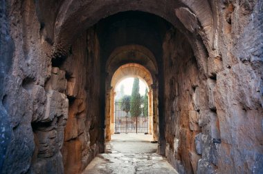 Roma 'da kolezyum